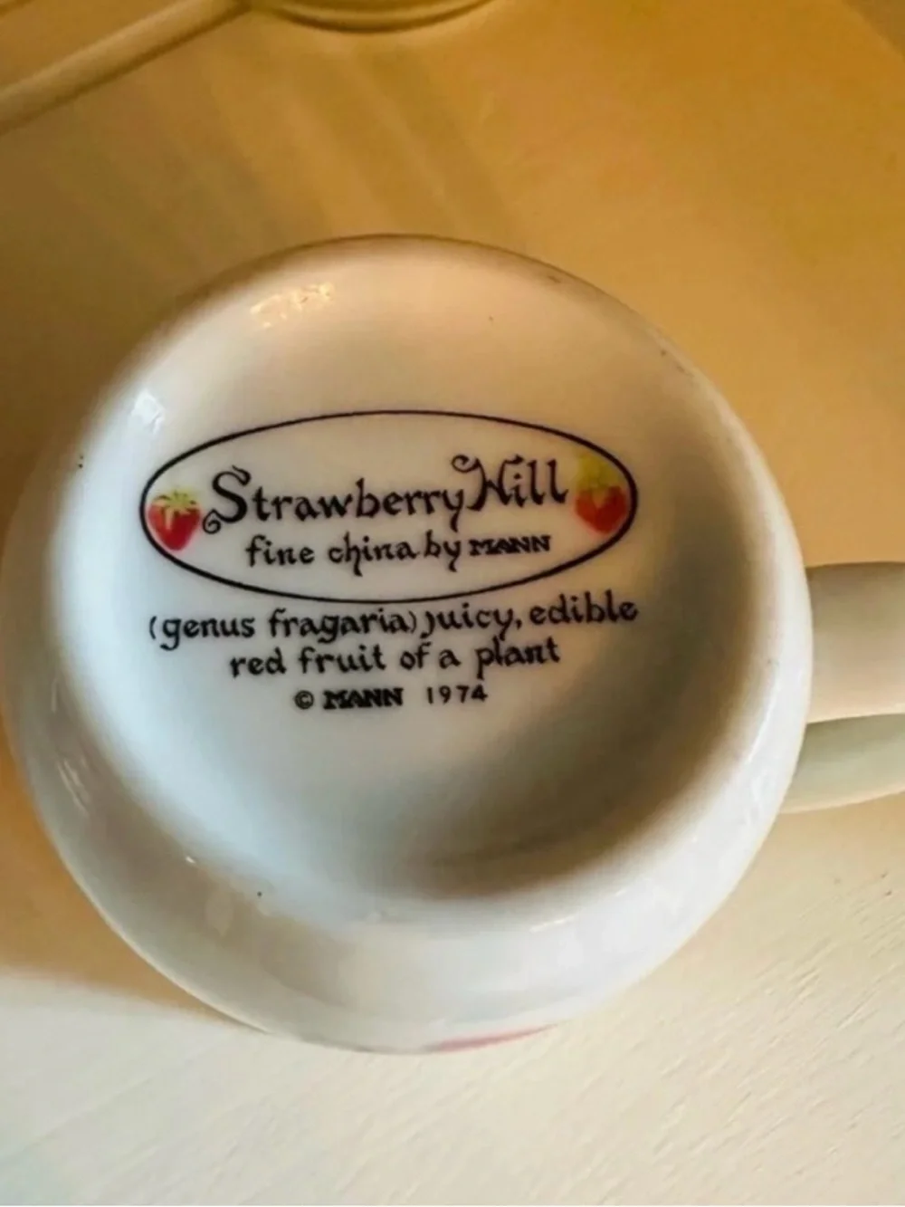 Vintage Strawberry Hill by Mann Coffee Mug. 1974 • cottagecore Decor